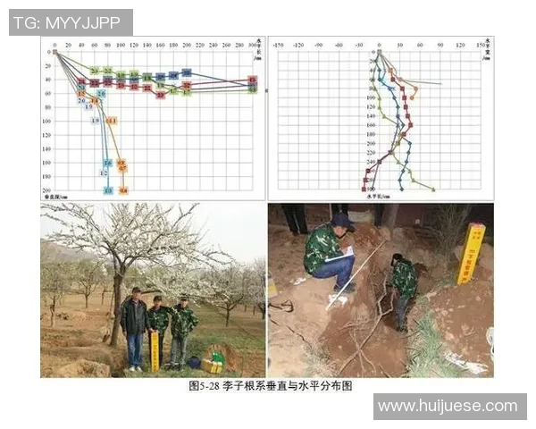 深圳网球队技术表现分析及其对比赛成绩的影响探讨